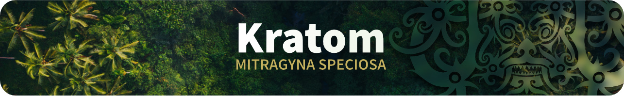 HEADER Kategorie KRATOM 1285x197_a
